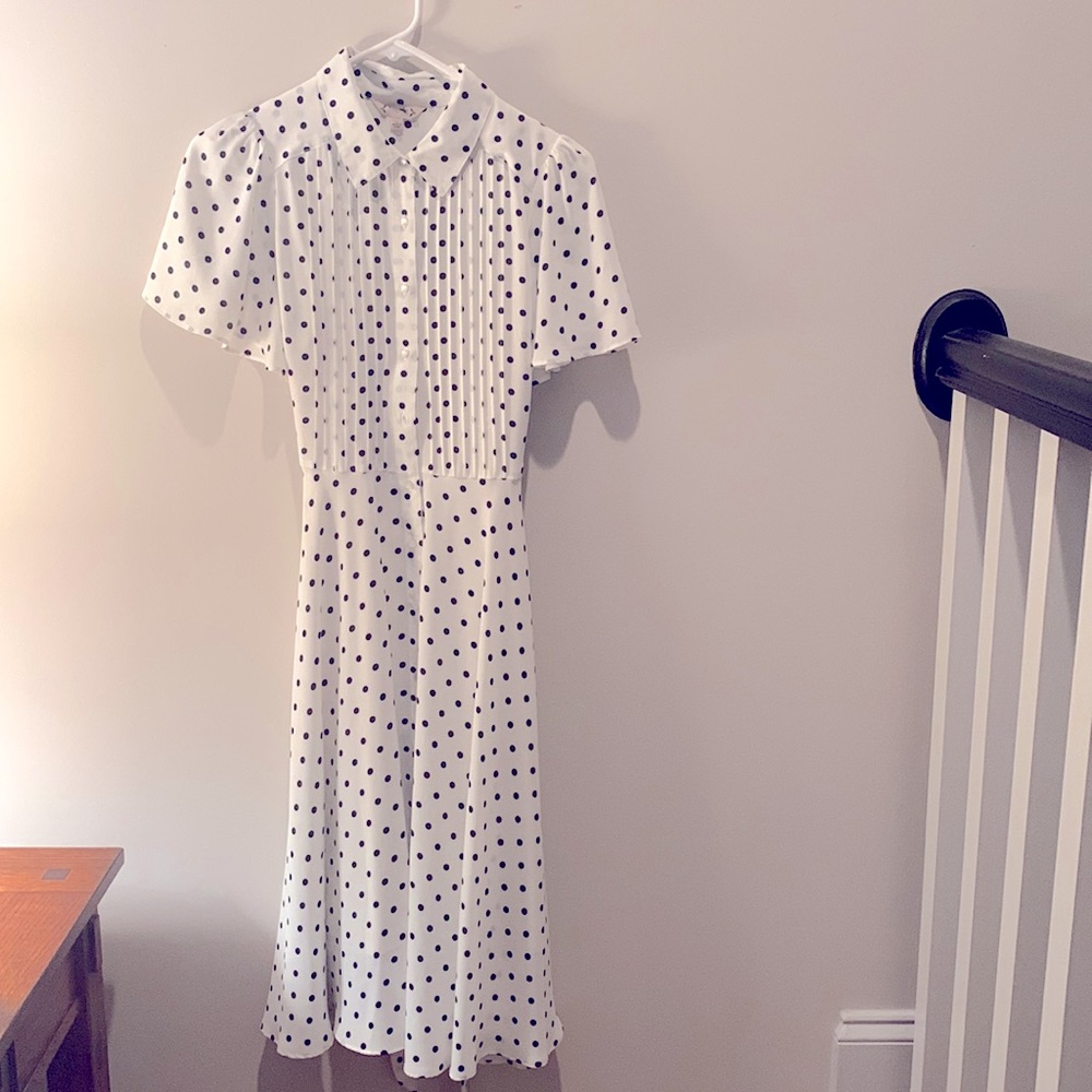 Polka Dot Dress (lined)
